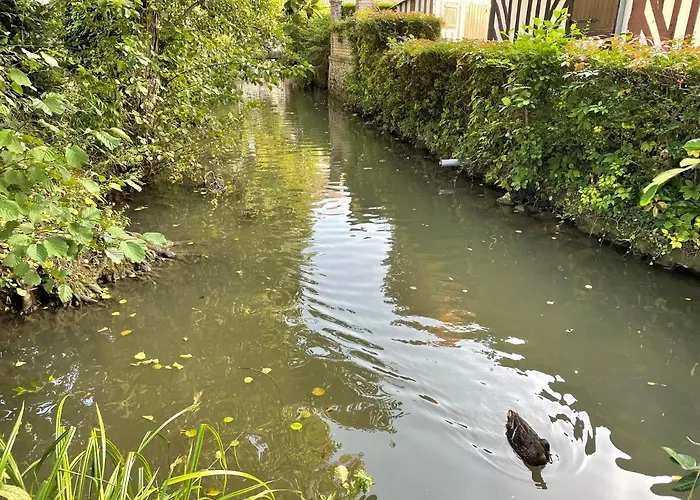 La Briarde * 乌尔加特